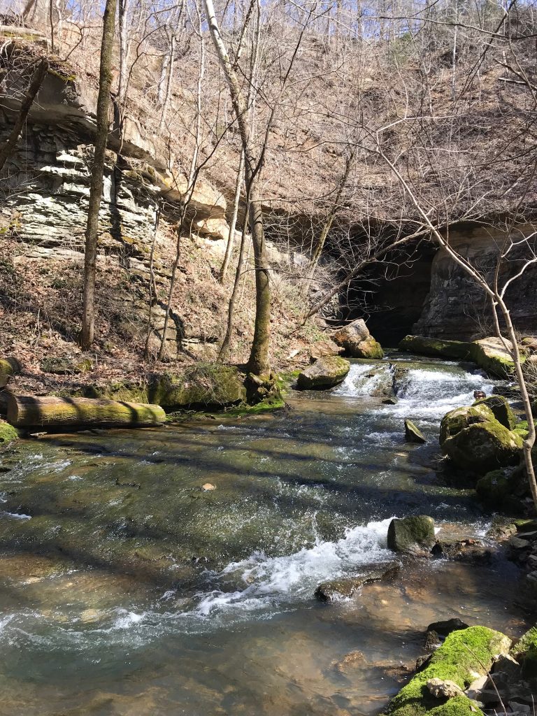 Stream Flowing from Donaldson Cave at Spring Mill State Park